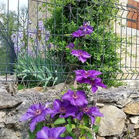 La Francotine Lherm (Lot)